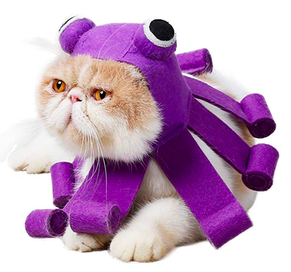 14 Pacific Northwest-Inspired Halloween Costumes for You and Your Pet